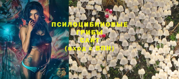 синтетический гашиш Алексин