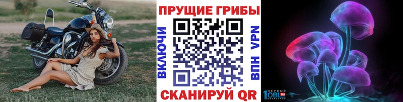 дарнет шоп Королёв Псилоцибиновые грибы мухоморы
